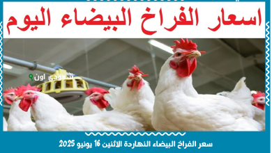 سعر الفراخ البيضاء النهاردة الاثنين 16 يونيو 2025
